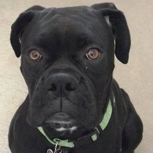 Meet your Posher, Patty